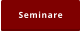 Seminare
